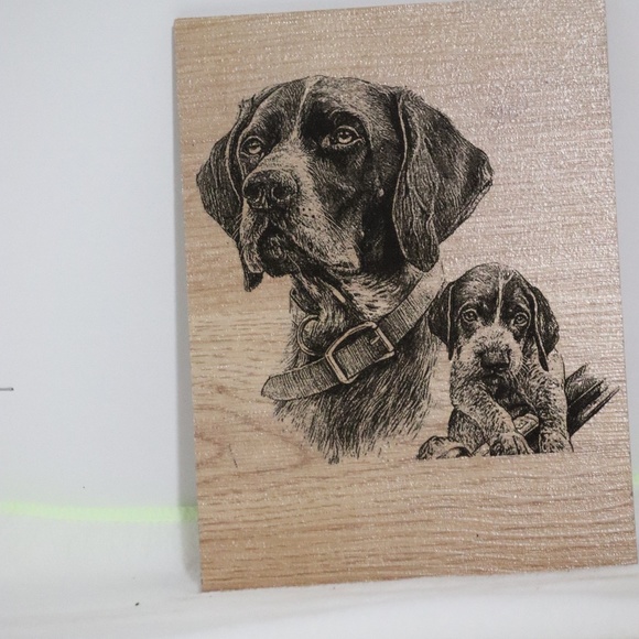 Hunting Dog With Puppy - Picture 4 of 4